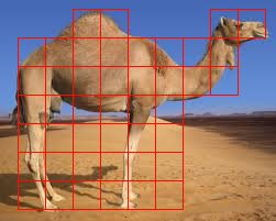 CamelAnalysis.jpg