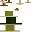 Snapping turtle V2.png